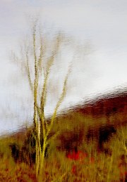 412_LV#026111