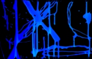 1_1X9A4489a