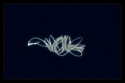 IMG_3793aaa